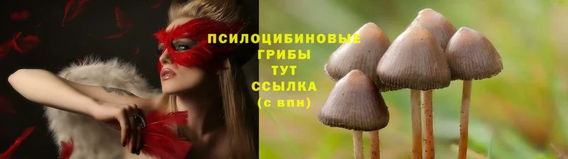 Галлюциногенные грибы MAGIC MUSHROOMS  Бавлы 